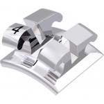 equilibrium® 2 Bracket, - 17° Torque, 0° Angulation für Zahn 44 (10 Stück)