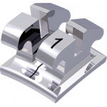 equilibrium® 2 Bracket, - 1° Torque, 0° Angulation für Zahn 31 (10 Stück)