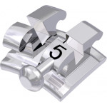 equilibrium® mini Bracket mit Häkchen, - 17° Torque, + 2° Angulation für Zahn 35 (10 Stück)