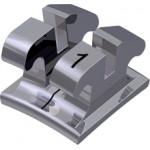 equilibrium® ti Bracket, - 1° Torque, 0° Angulation für Zahn 31 (10 Stück)