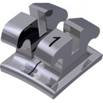 equilibrium® ti Bracket, - 1° Torque, 0° Angulation für Zahn 31 (10 Stück)